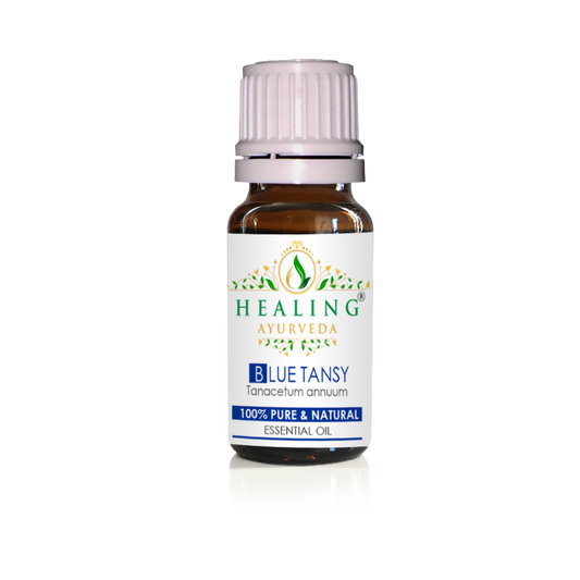 Blue Tansy Essential Oil- Tanacetum Annuum/ Tanaisie Annuelle