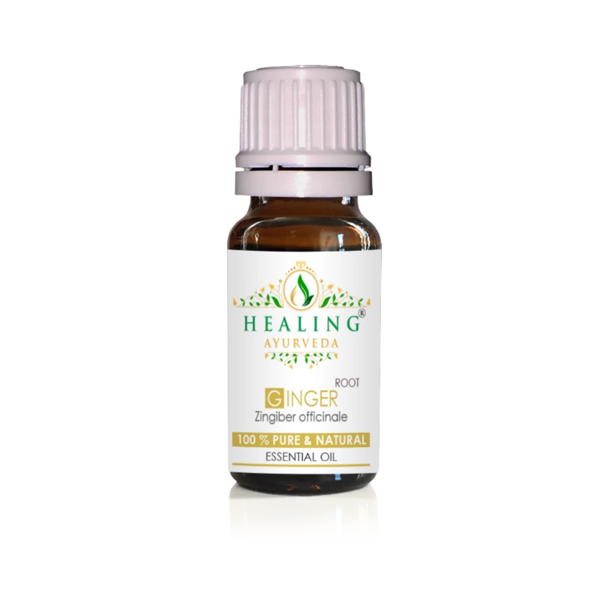 Ginger Essential Oil - Zingiber Officinale