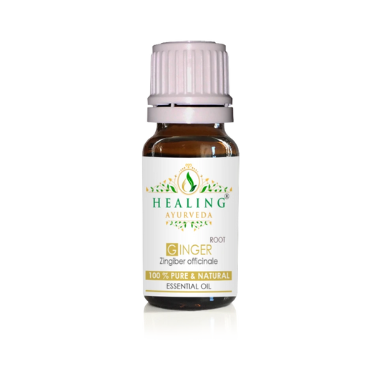 Ginger Essential Oil - Zingiber Officinale