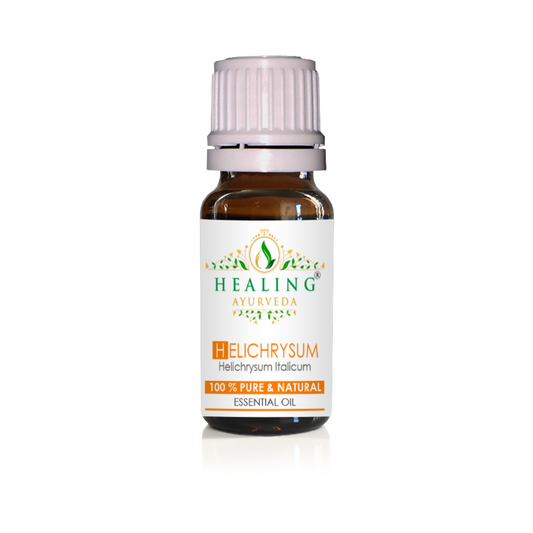 Helichrysum Italicum Essential Oil - Helichrysum Italicum ssp. Italicum