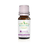 Lavender Essential Oil (French Lavender - High Alpine) Herb Oil