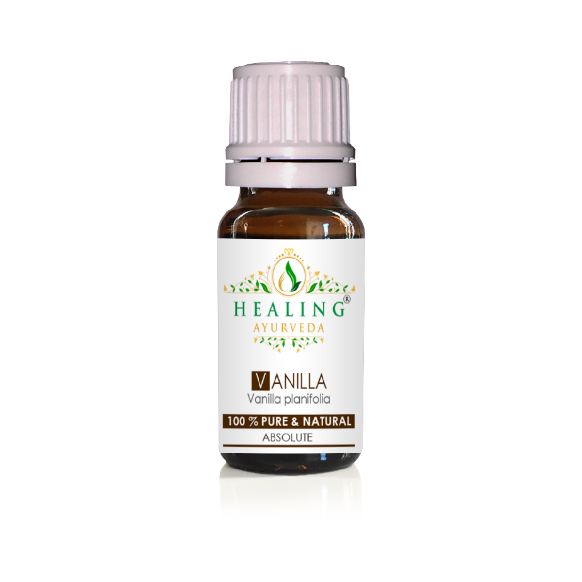 Vanilla Absolute Oil- Vanilla Planifoloa