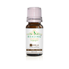 Vanilla Absolute Oil- Vanilla Planifoloa