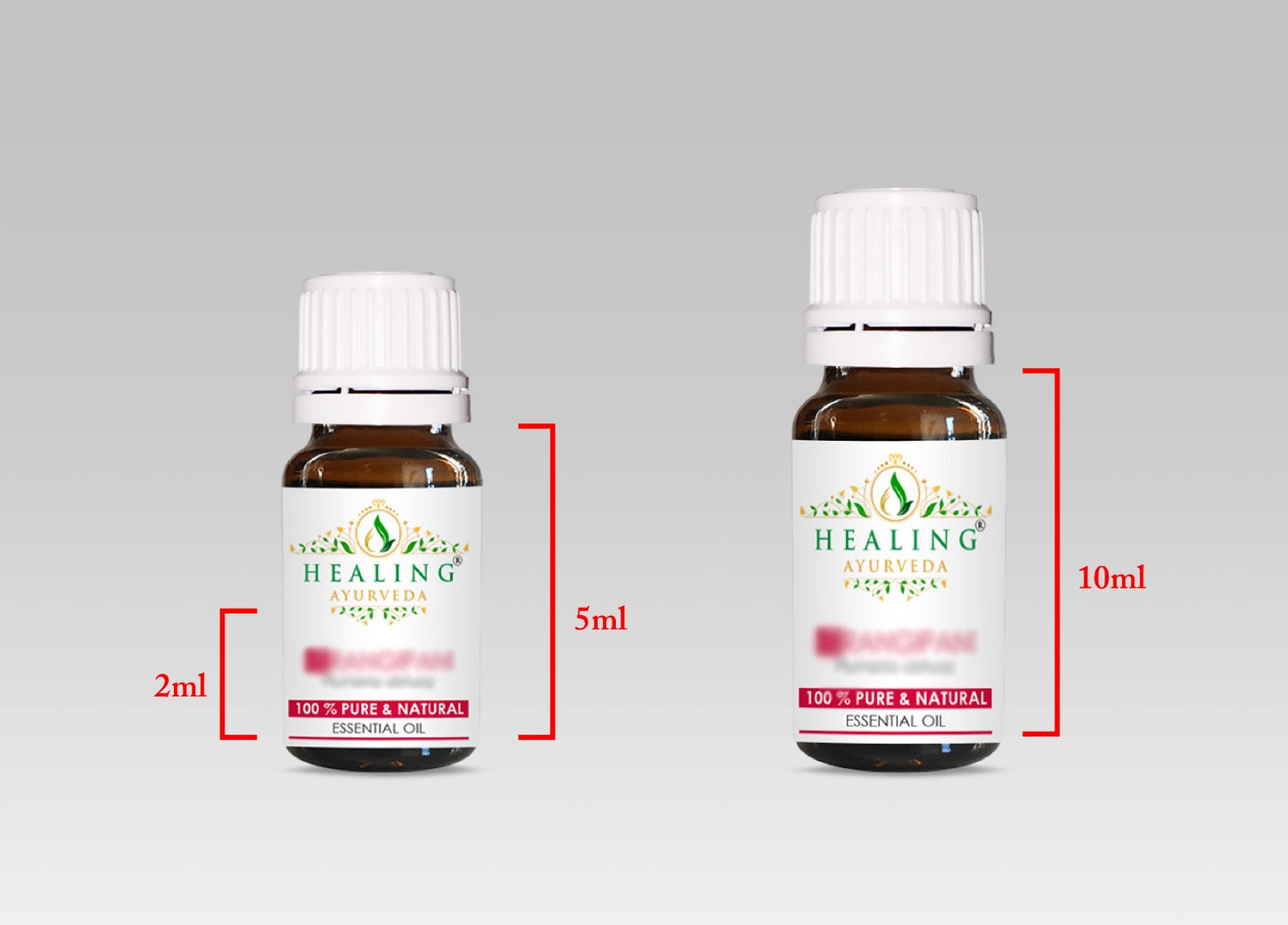 Angelica Root Essential Oil-Angelica Archangelica